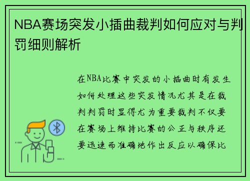NBA赛场突发小插曲裁判如何应对与判罚细则解析